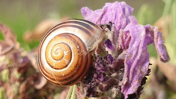 Familien- Wildniswochenende 19. -  21.09.2025