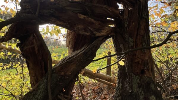 Alternative view of 2604 Auszeit Tag für Frauen 26. April 2026