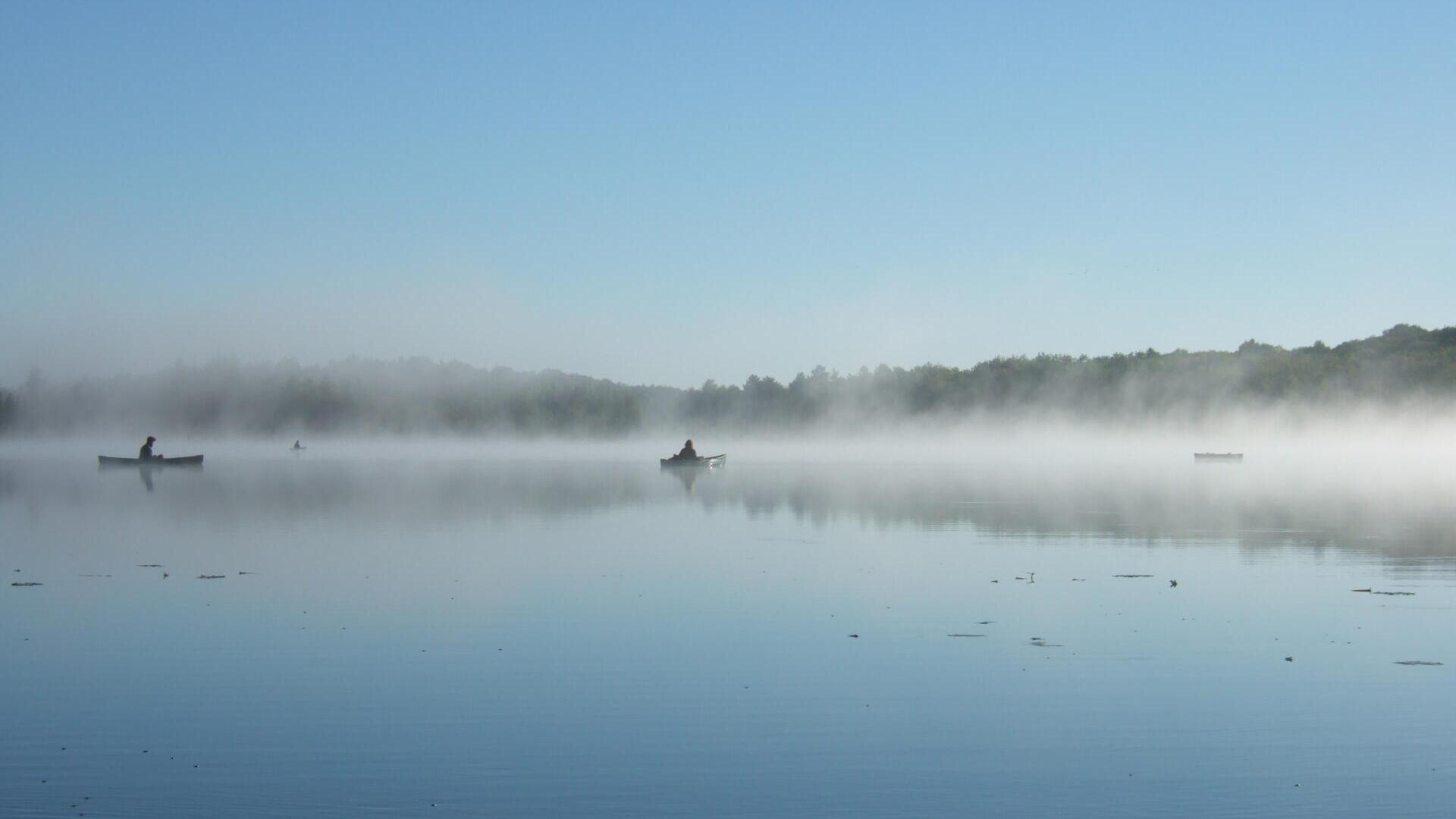 Zum Miterleben: ein Jahr in der Wildnis Wisconsins. 15.11.2025