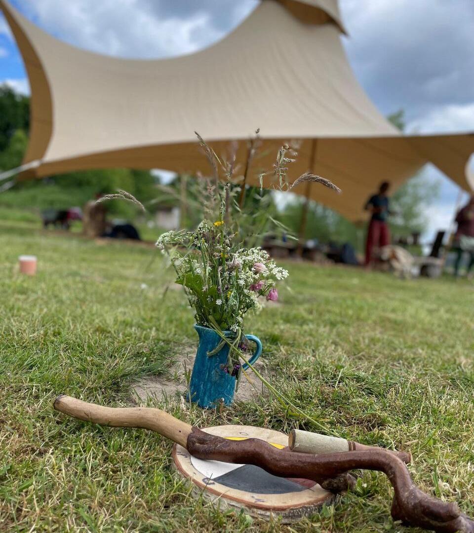 Weiterbildung Naturverbundene Prozessbegleitung. Beginn: 29. April 2026 - 11. April 2027