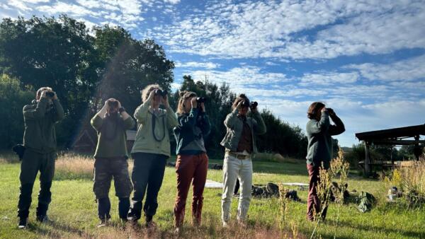 Alternative view of die geheime Sprache der Vögel 12.+13. Mai 26