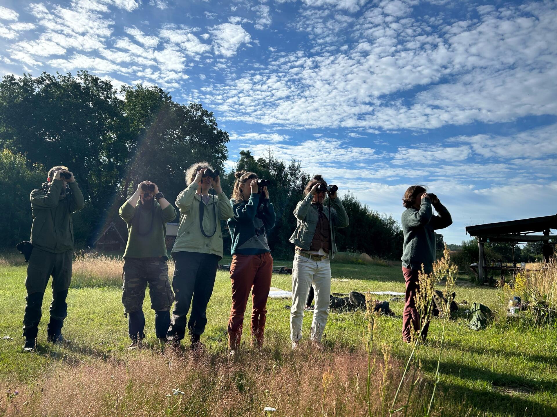 2605 die geheime Sprache der Vögel 12.+13. Mai 26 – Bild 3
