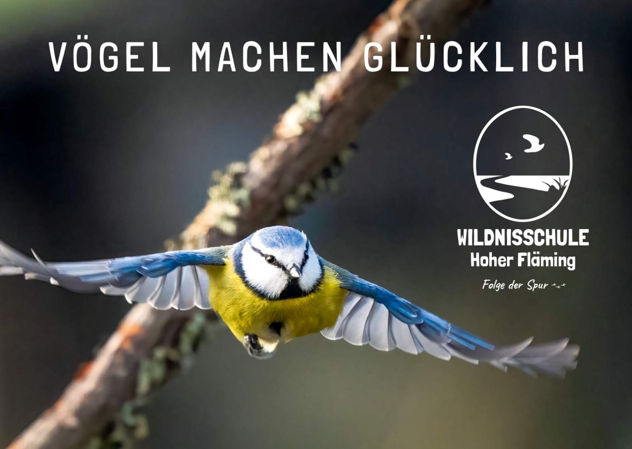 2605 die geheime Sprache der Vögel 12.+13. Mai 26 – Bild 7