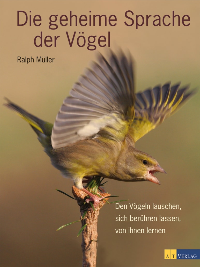 Altes Vogelwissen 15.-18. April 2027 – Bild 6